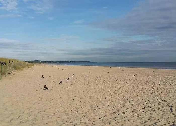 Bursztyn Nr 8 * Swinoujscie